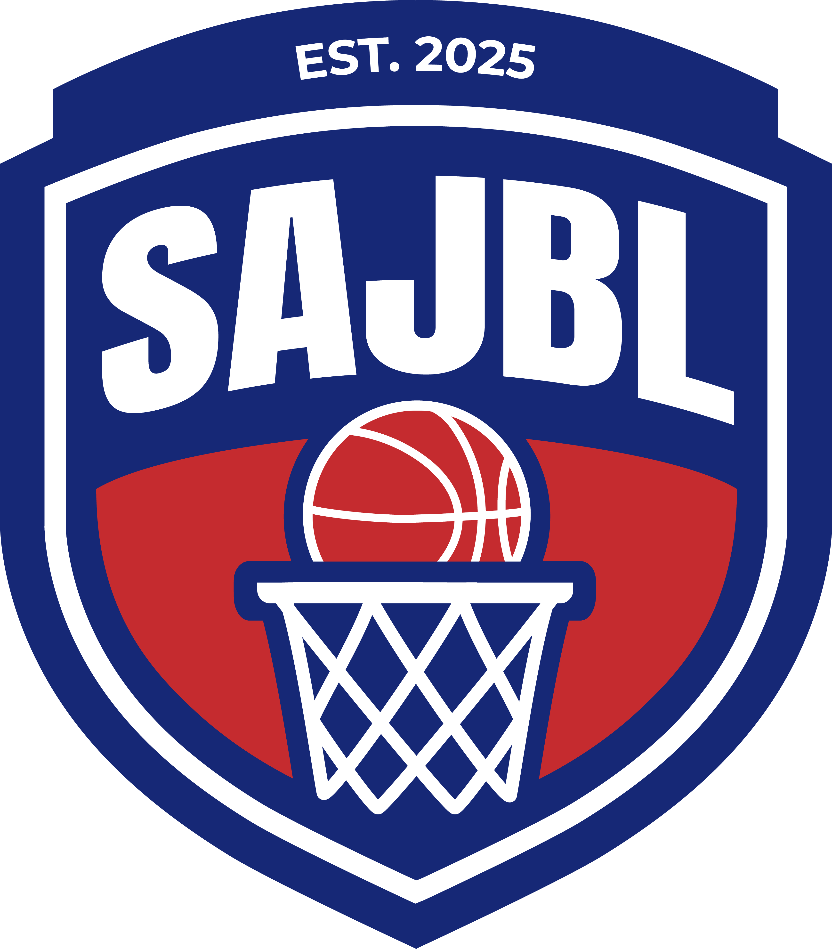 DOMESTIC LEAGUE